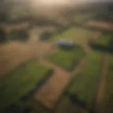 Aerial view of vast agricultural land