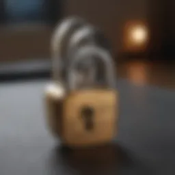Visual representation of locking a credit report