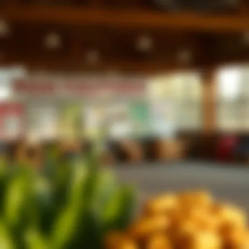 A visual representation of USDA assistance programs for low-income households.